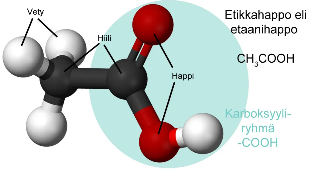 Etikkahappomolekyyli