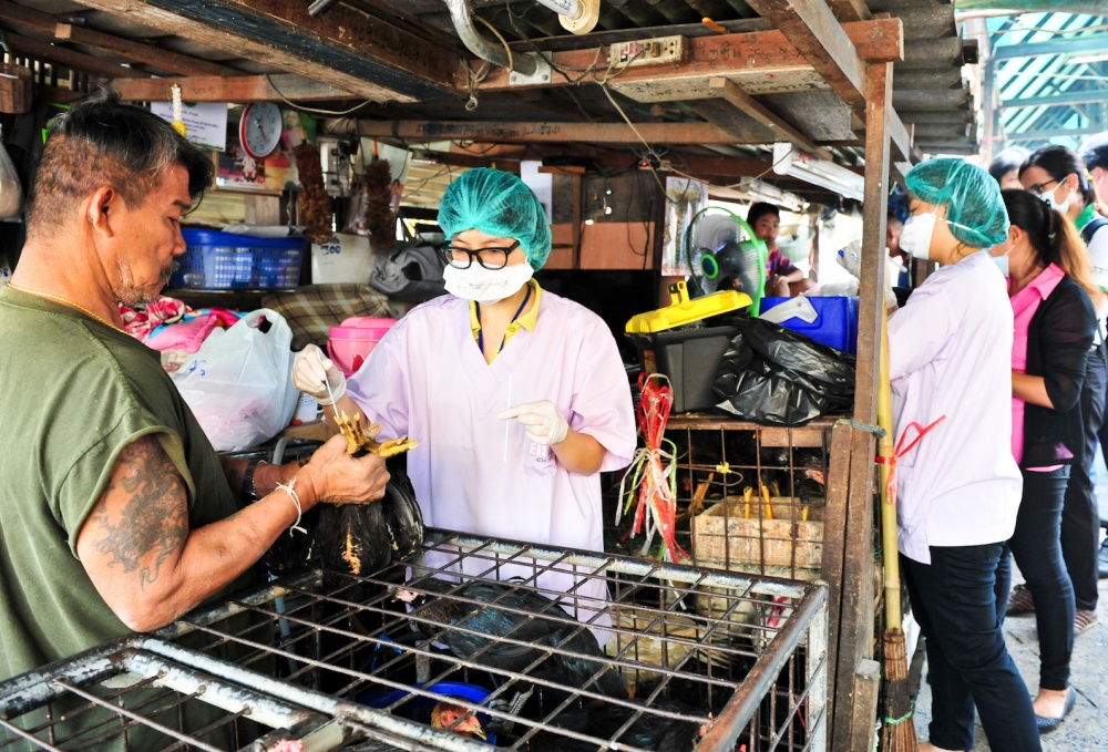 Lintuinfluenssatarkistuksia Bankokissa vuonna 2014