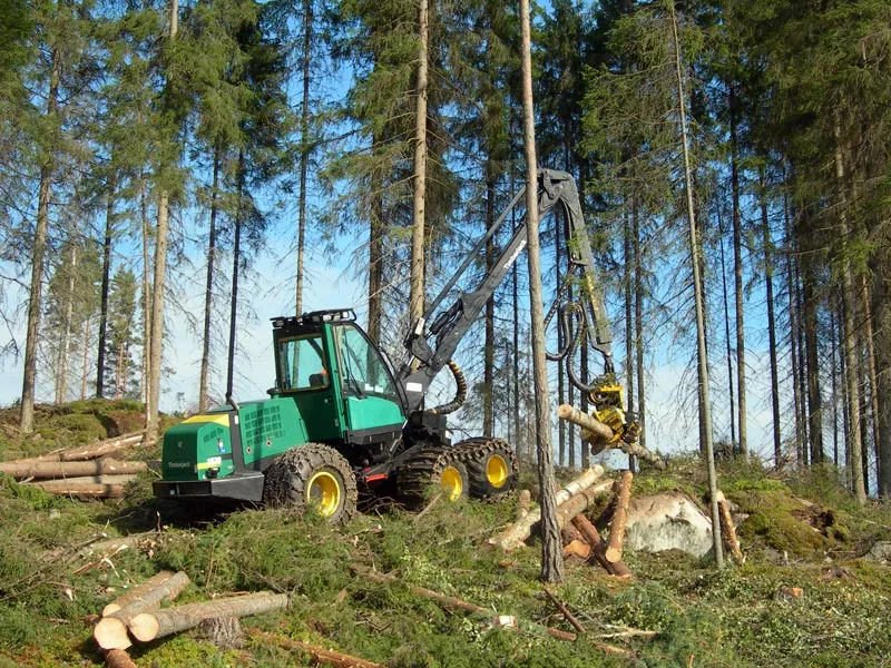 Harvesteri työssään