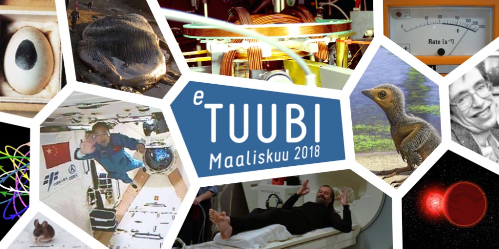 Kooste maaliskuun eTuubin kuvista