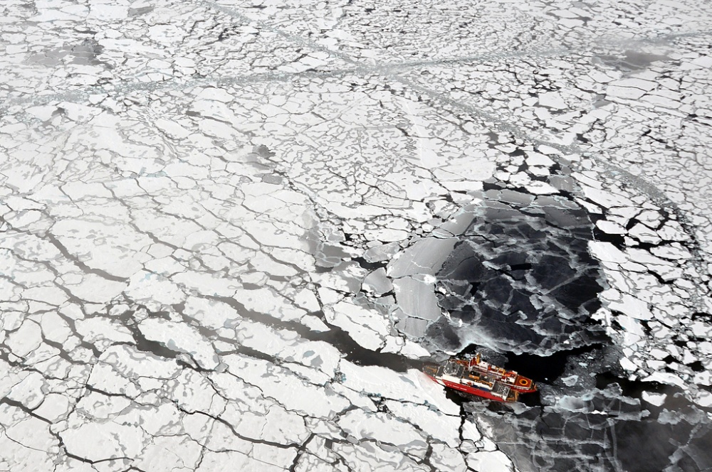 Railoja merijäässä. Kuva: USGS