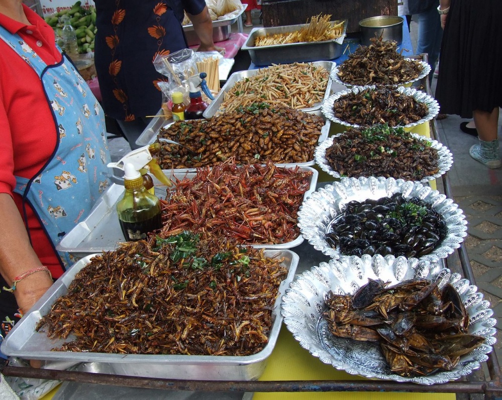 Hyönteisiä tarjolla Thaimaassa. Kuva: Wikipedia