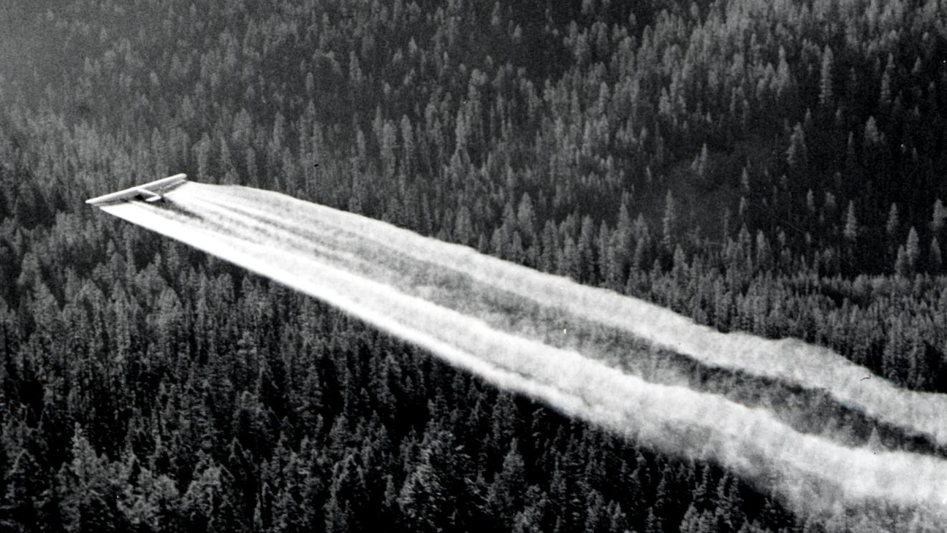 DDT:tä lentolevitetään Orgonissa vuonna 1955.