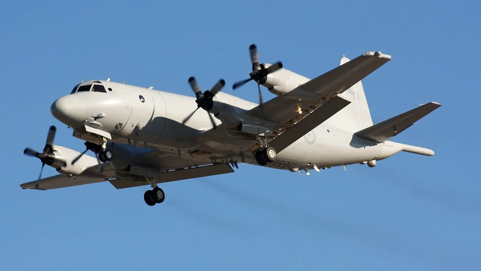 RAAF Orion