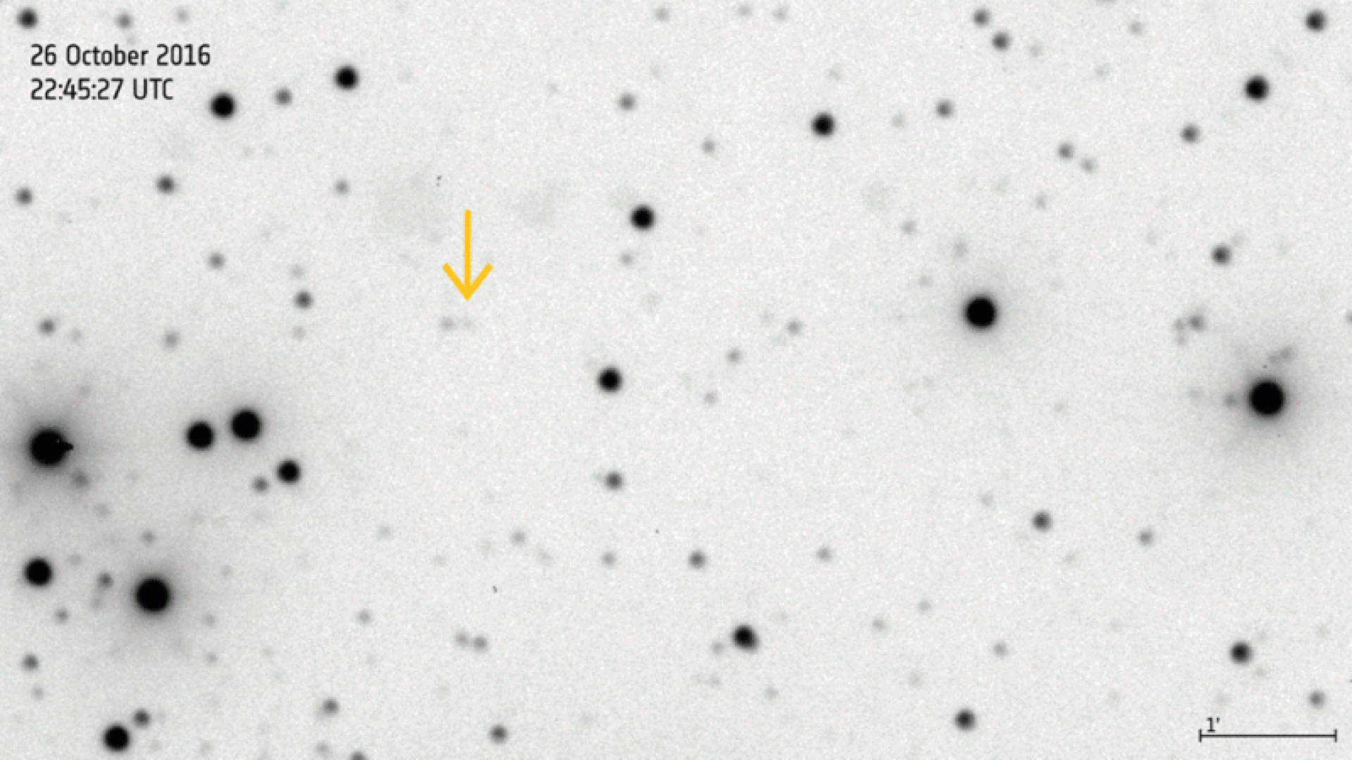 Gaian löytämä asteroidi