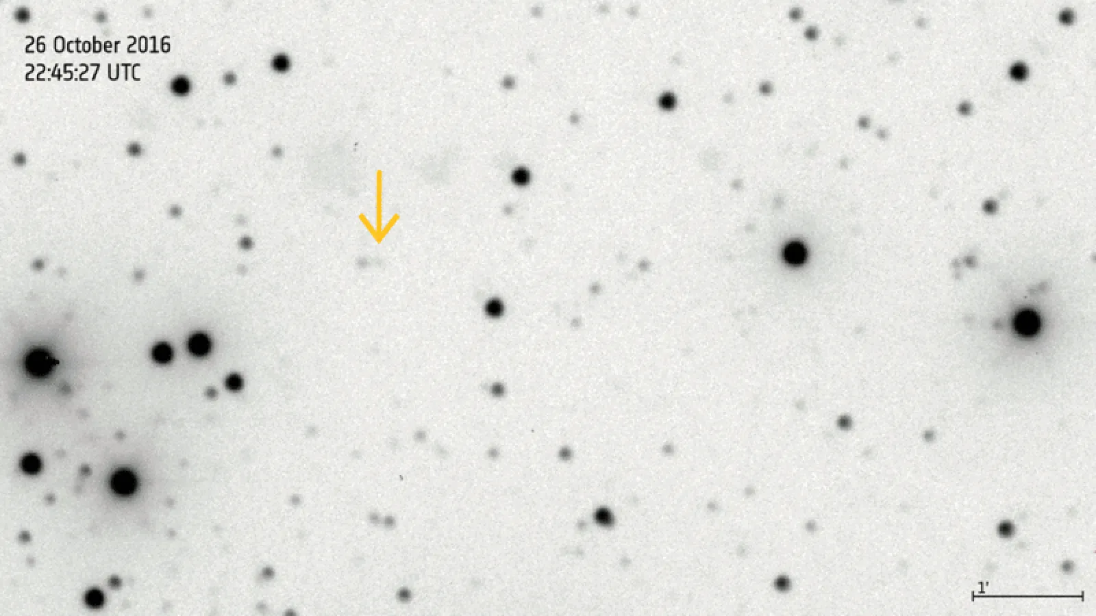Gaian löytämä asteroidi