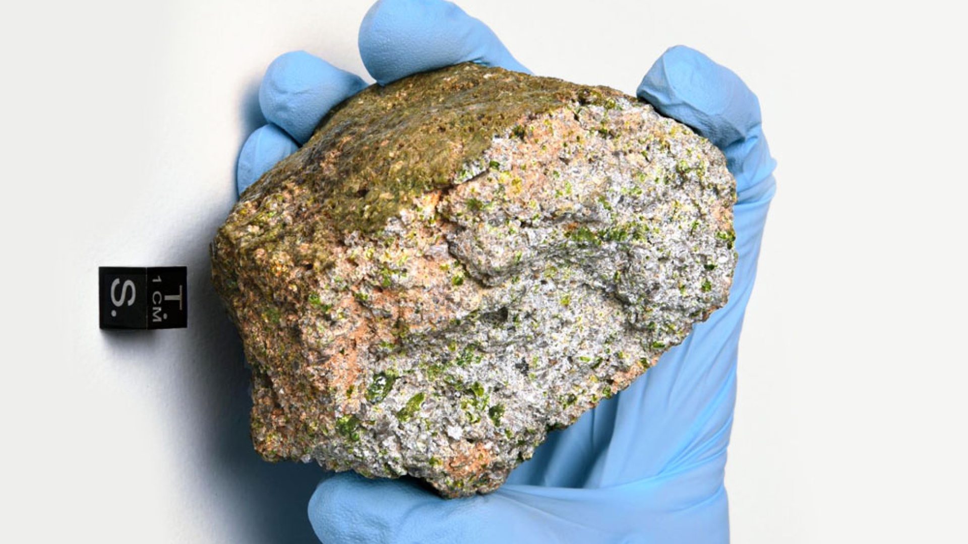 Kuva meteoriitista. (ASU Center for Meteorite Studies)