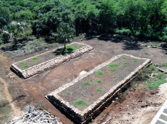 Maya-pallokenttä