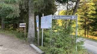 Oravivuoren polun alku