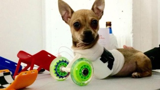 TurboRoo