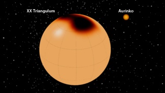 XX Triangulum ja Aurinko