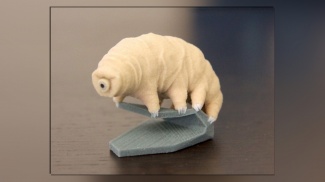 3D-tulostettu karhukainen